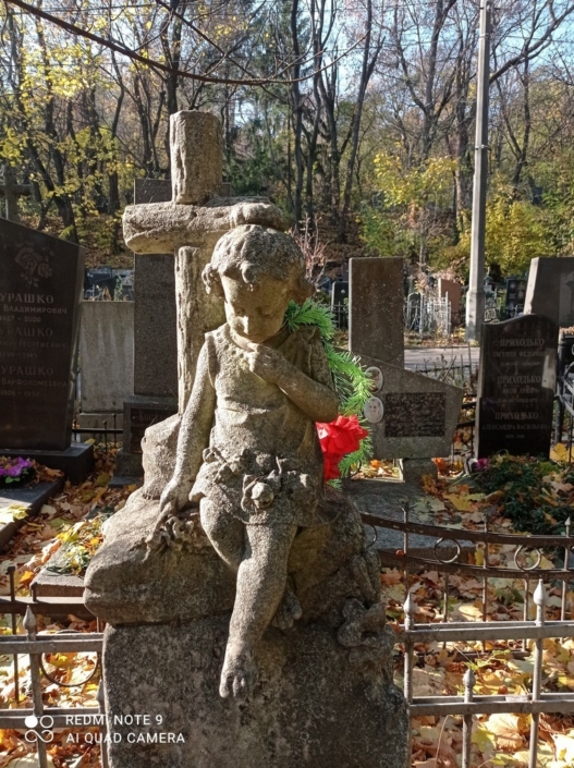 Охорона історичних поховань та надгробків